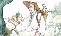 Thần y nổi tiếng Trung Hoa, thọ 141 tuổi để lại 8 bí quyết dưỡng sinh sống thọ, ai cũng có thể làm được