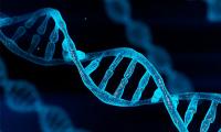 Loài người tiếp tục tiến hóa với sự xuất hiện của 155 gene mới