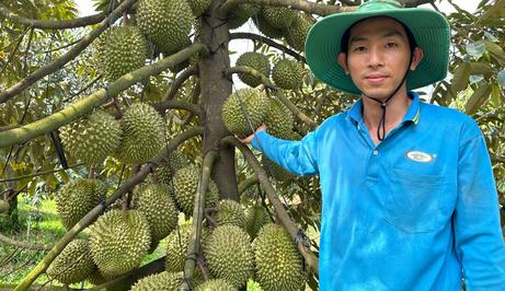 Gác bằng thạc sĩ, chàng trai Cần Thơ về quê làm nông dân kiếm 1 tỷ đồng/năm